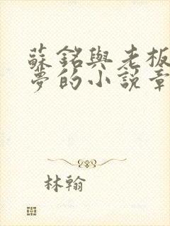 苏铭与老板娘沈梦的小说章节