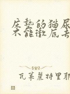 床垫的猫尿味能不能彻底去除