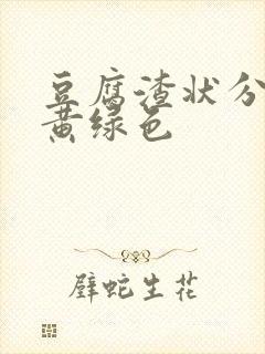 豆腐渣状分泌物黄绿色