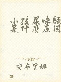 小孩尿味骚气大是什么原因