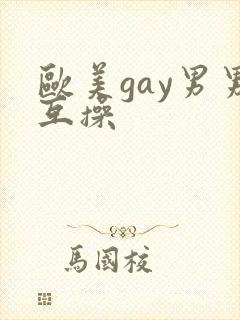 欧美gay男男互操
