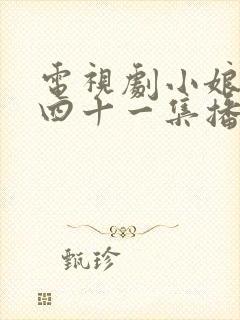 电视剧小娘惹第四十一集播放