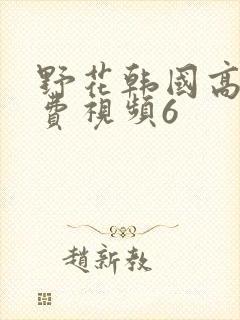 野花韩国高清免费视频6封面