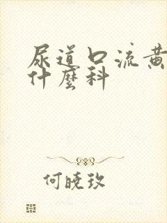 尿道口流黄脓挂什么科