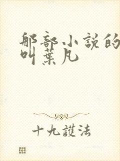 那部小说的主角叫叶凡