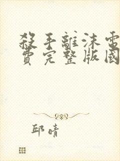 杀手离沫电影免费完整版国语封面