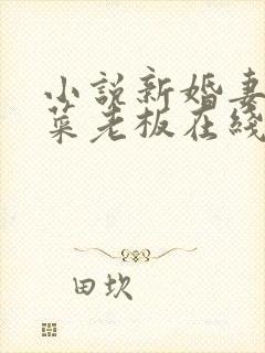 小说新婚妻子与菜老板在线阅读小说