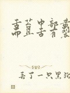 舌苔中部黄厚腻而且舌有裂纹