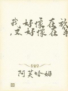 我好像在放弃你,又好像在等你