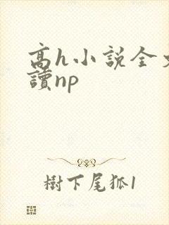 高h小说全文阅读np封面