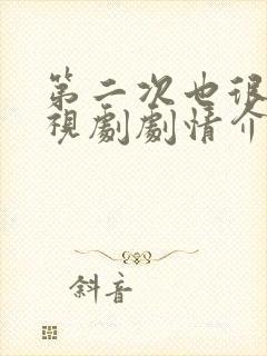 第二次也很美电视剧剧情介绍封面