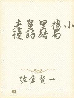 老舅里杨小姐最后的结局封面