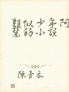 类似少年阿宾钰慧的小说