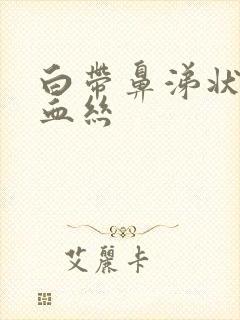 白带鼻涕状 带血丝