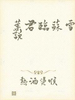 叶君临苏雪儿小说