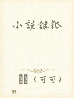 小说银狐