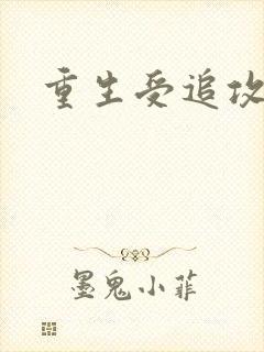 重生受追攻封面