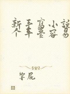 新手写小说去哪个平台容易赚到钱