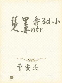 旧里番3d小婷人妻ntr