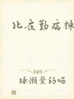 比夜勤病栋还封面