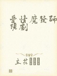 爱情魔发师 电视剧