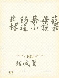 我的岳母苏沛真林道小说最新章节下载