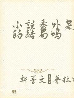 小说番外是真正的结局吗