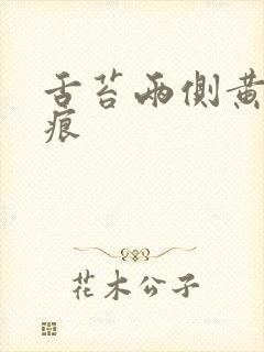 舌苔两侧黄有齿痕