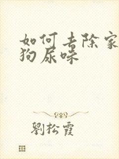 如何去除家里的狗尿味