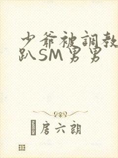 少爷被调教室跪趴SM男男