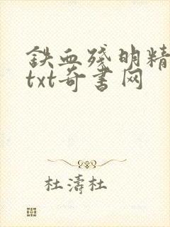 铁血残明精校版txt奇书网