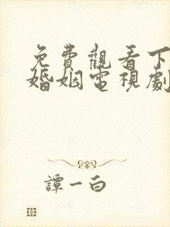 免费观看下一站婚姻电视剧