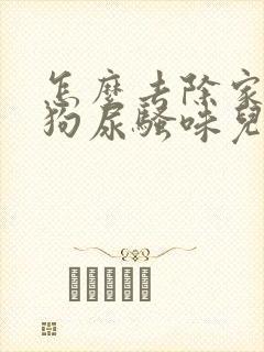 怎么去除家里的狗尿骚味儿