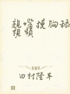 亲嘴摸胸舔下面视频