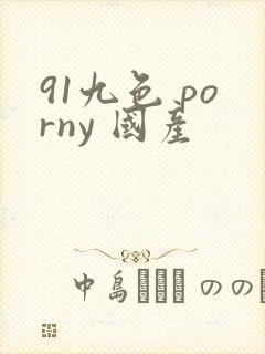 91九色 porny 国产