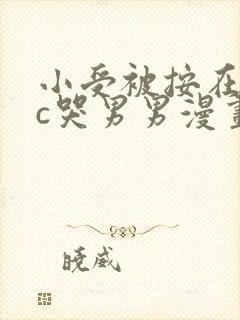 小受被按在墙上c哭男男漫画封面