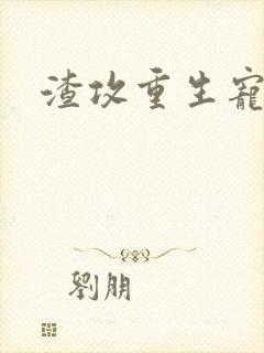 渣攻重生宠受文