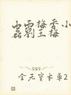 山雨梅香小说赵磊刘玉梅