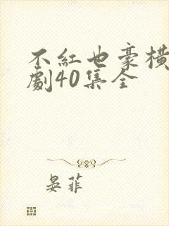 不红也豪横电视剧40集全