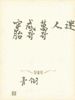 穿成万人迷双胞胎哥哥