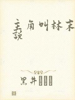 主角叫林末的小说