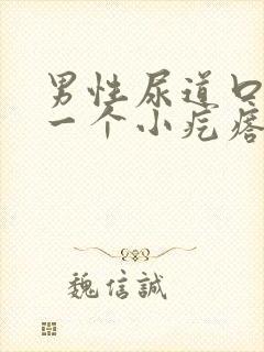 男性尿道口长了一个小疙瘩是怎么回事