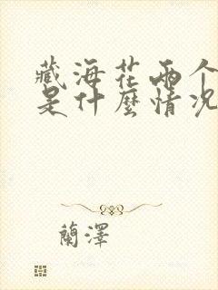 藏海花两个吴邪是什么情况