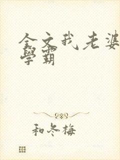 全文我老婆是女学霸