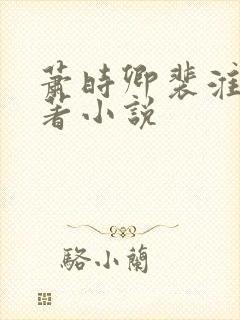 萧时卿裴淮之原著小说封面