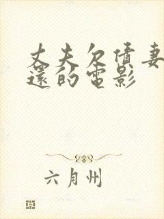 丈夫欠债妻子偿还的电影