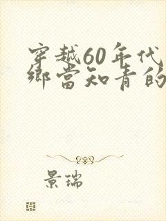 穿越60年代下乡当知青的小说