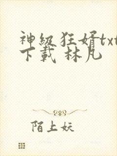 神级狂婿txt下载 林凡