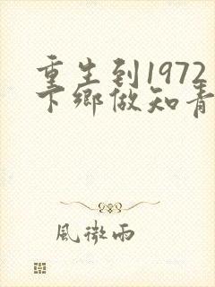 重生到1972下乡做知青陈凡