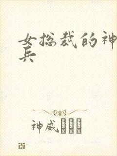 女总裁的神级佣兵